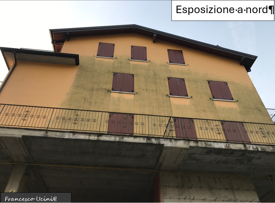 Facciata degradata. La semeiotica per l'analisi della manifestazione patologica delle murature