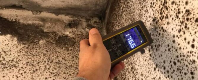 Muffa su parete causata da umidità – diagnosi e soluzioni